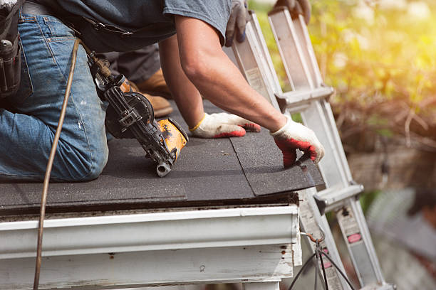 Best Storm Damage Roof Repair  in Des Plaines, IL